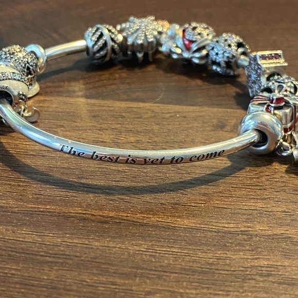 PANDORA CHRISTMAS SPECIAL EDITION CHARM BRACELET! - Picture 5 of 5